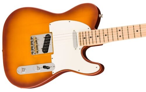 Fender American Performer Timber Telecaster Honey Burst - angle view