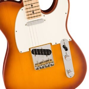 Fender American Performer Timber Telecaster Honey Burst - body