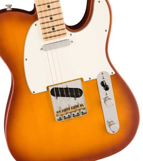 Fender American Performer Timber Telecaster Honey Burst - body