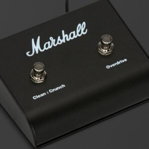 Marshall PEDL-90010 - close-up of switches Marshall PEDL-90010 - close-up of switches