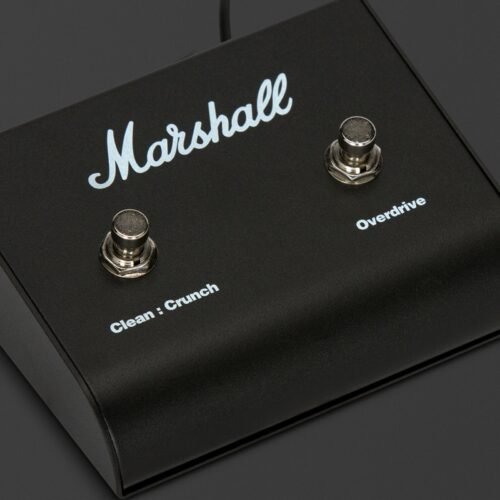 Marshall PEDL-90010 - close-up of switches Marshall PEDL-90010 - close-up of switches